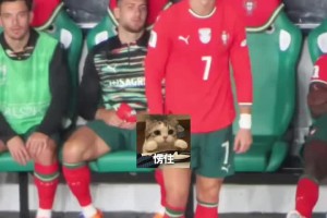 自己辛苦反超的比分就这么被扳平，场边C罗很无奈😑